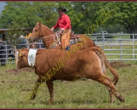2NODS 0709